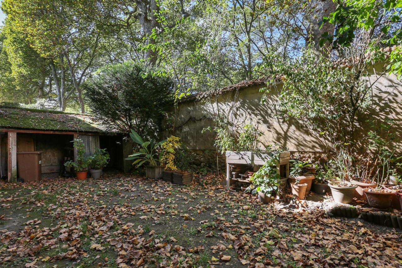 Aux Loges De L'Orangerie Apartment แวร์ซาย ภายนอก รูปภาพ